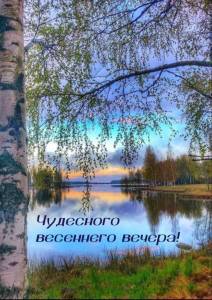 6f82bd80360be3f94a561d39f8bd80c8.thumb.jpg.eb1c9cd076ec42e3e2925c832ddeb0df.jpg