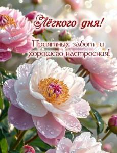 9adcdfd972f2521e3fd1249430ad2186.jpg