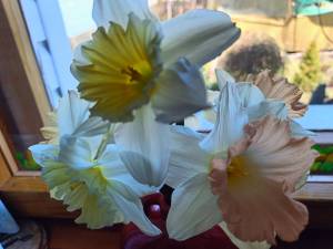 IMG20260505112800.jpg