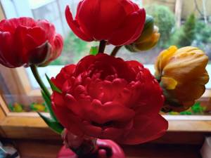 IMG20260510152611.jpg