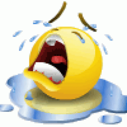 IMG_0381.gif