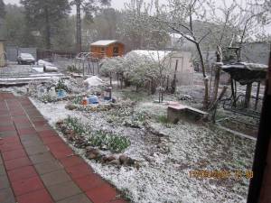 IMG_1336.thumb.JPG.427e2b5d915126d5b6ca1a435f4ae87a.JPG