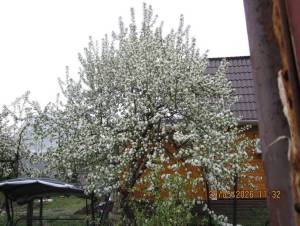 IMG_1363.thumb.JPG.07635e7a712a939d59a14b56be04aeb6.JPG