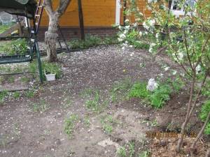 IMG_1372.thumb.JPG.fdd87c1795ee48eec670b820f1dded64.JPG