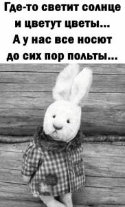 IMG_20260131_184313_879.thumb.jpg.1f7c1c03c9fcfe512b3c7b4ee92bfbd9.jpg