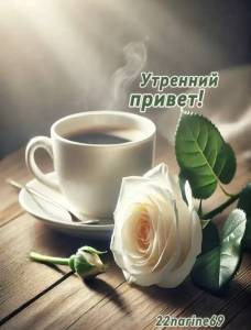 IMG_20260420_120133_927.jpg