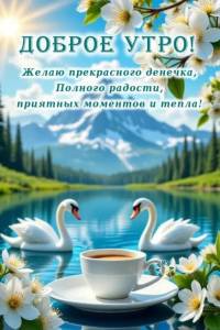 IMG_20260422_115031.jpg