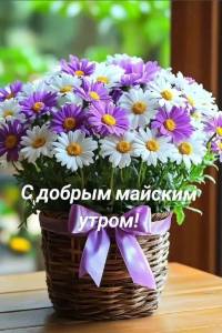 IMG_20260503_101246_079.jpg