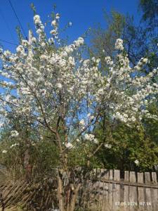 IMG_20260507_075627.jpg