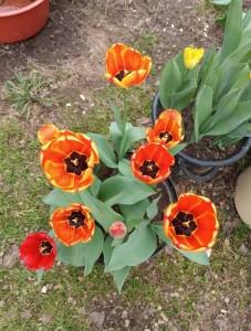 IMG_20260508_112316.jpg