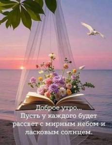 IMG_20260510_074053.jpg