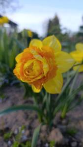 IMG_20260510_175641.jpg