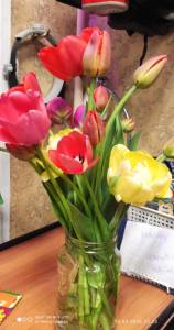 IMG_20260510_233710.jpg