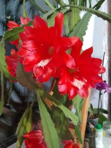 IMG_20260511_230841.jpg