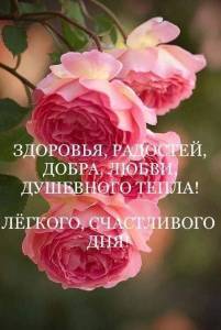 IMG_20260516_074518_716.jpg