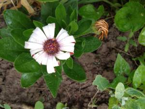 IMG_20260516_161317.jpg