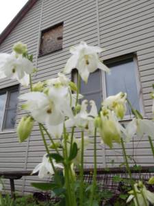 IMG_20260516_161331.jpg