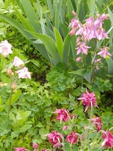 IMG_20260516_161412.jpg