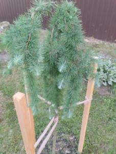 IMG_20260520_201057.jpg