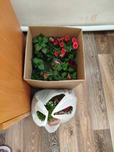 IMG_20260525_163722_529.jpg