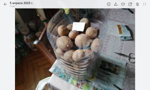 Screenshot_20260512_133415_com.huawei.photos.thumb.jpg.79f366d6291076dff9264b516dde1778.jpg