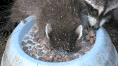 a580eaf8099b7e766077608c4ebe4d63.gif