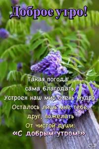 ae6f53e2cf1f0a19e8addbd32cc714a6.jpg