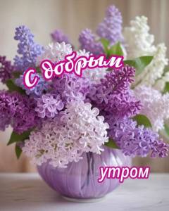 c065c20c6024cd589ec494cddc1849dd.jpg