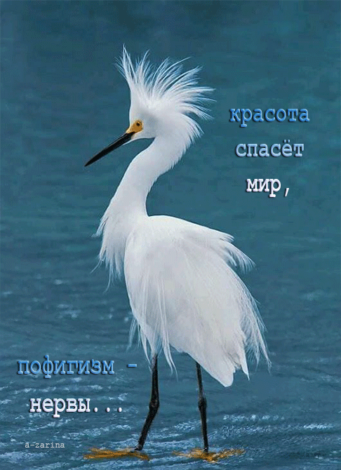 c2VydmljZT1pbWFnZXMmc3JjPWh0dHBzJTNBJTJGJTJGZ2lmb3Rrcnl0a2kucnUlMkZfcGglMkY2MyUyRjIlMkY3NDUwNjUyNy5naWYmY2FjaGVNYXJrZXI9MTcwODA5NDk1MS0xMzQ2NjY3JnRva2VuPTAyZWNmNjdhMTJlN2Q4ZmM.q.gif