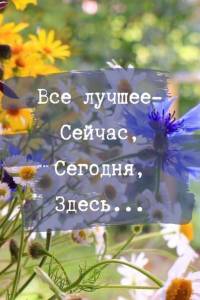 e2887a17c1e0a48cacdf701a15254d1a.thumb.jpg.3edcd1e8b91869993f1f0b34726048f2.jpg