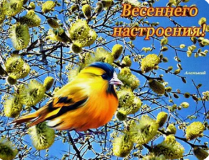 image.thumb.png.35d53cc791bcf5e5e6a7f59791f5ca58.png