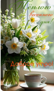 image.thumb.png.c03eef6c00653b5911b90185f6fce633.png