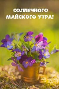 imagetext_ru_63573.jpg