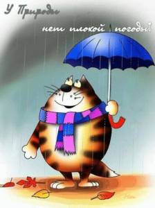 umbrella-rain-animation-cat.thumb.jpeg.8429731a8c2fe4e5b0f68fc38d898509.jpeg