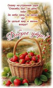 04143330314af154edbd652b6054d722.jpg