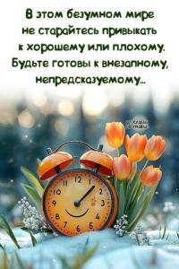 07b448168fa92bd3c8286692c2f130bc.thumb.jpg.46df76d0685eced7ba3916ffcd512ec3.jpg
