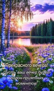 image (81).jpg