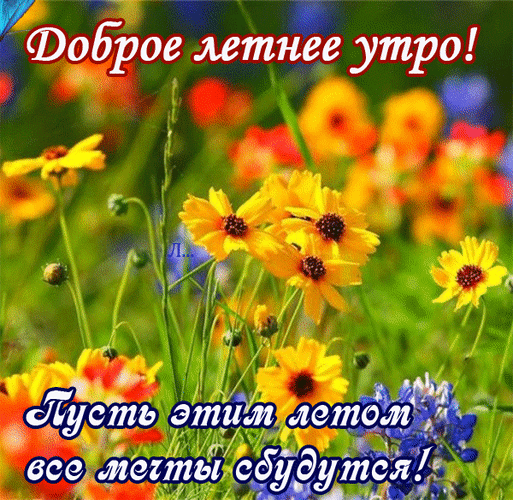 1614134480____.thumb.gif.3b8c22005183f65e3b9d0b8342b31469.gif