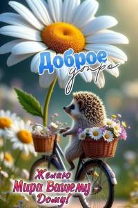1c96d135a4a3d19885ec240115992f3c.jpg