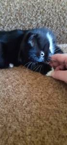 20260601_090828.jpg