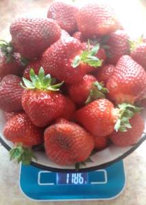 20260609_075252.jpg