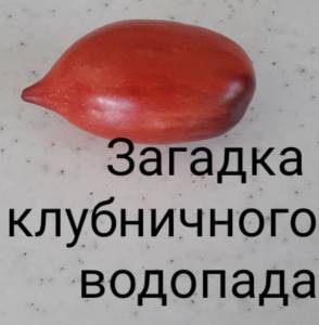 20260619_100333.jpg