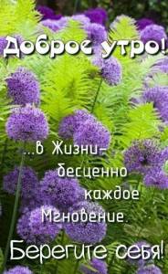 2f7fb1867e1ddd5a567994bc12b3d2a8.thumb.jpg.e46666541220ef5df83187bb315ac2e7.jpg