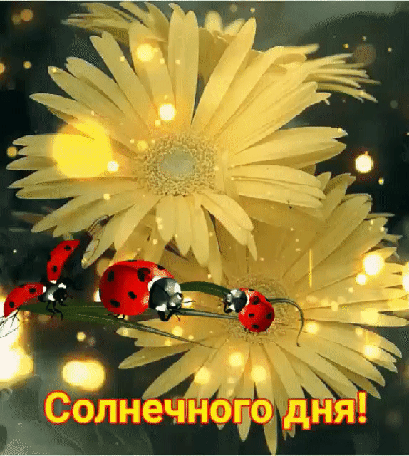 491127f01af56f6f3d24d00d282f770d.gif