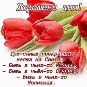 498033140___.thumb.jpg.38a3b6ee768ad4023a2d1c3727317565.jpg