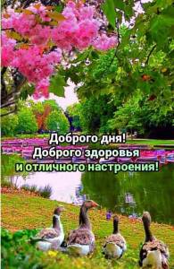 4b0e964dd1377d12114f6e0c90fb7354.jpg