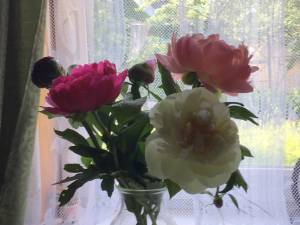 615046BB-19F5-450F-B0C3-7431CB935AB7.jpeg