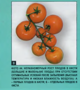 710232353_.thumb.png.478a9c04acb6eecf51225312f5aa28db.png