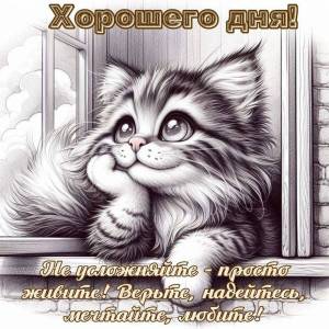 78a95044af98c4b47e36abe9d3915cc8.jpg