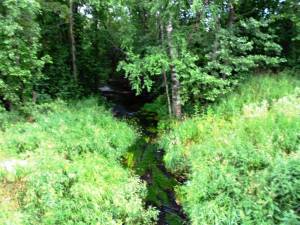 DSCN2279.JPG